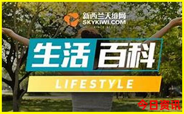 重庆夏季凉快的地方